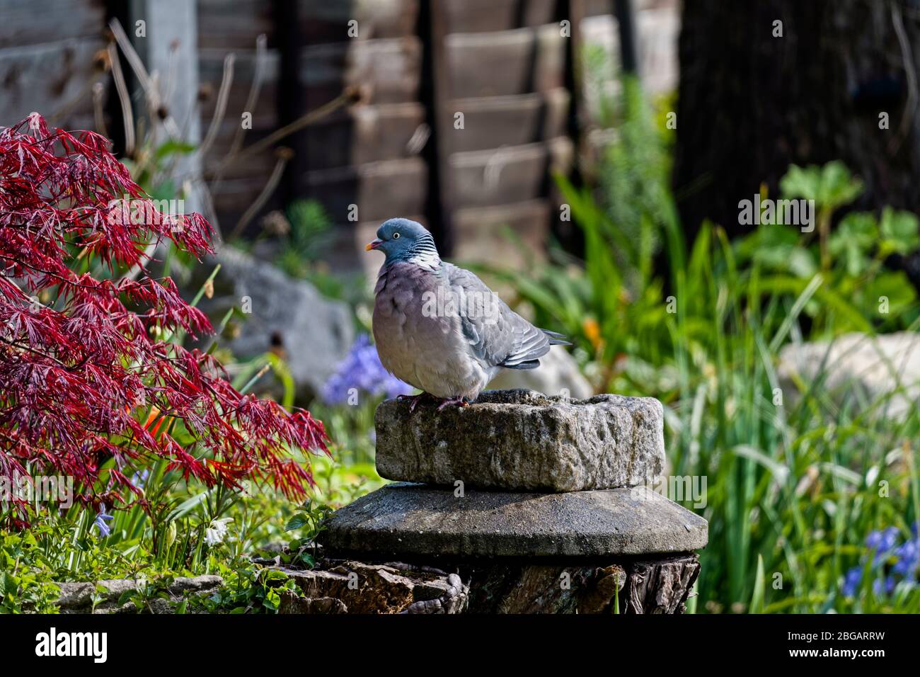 Funny Poor Stockfotos Und Bilder Kaufen Alamy