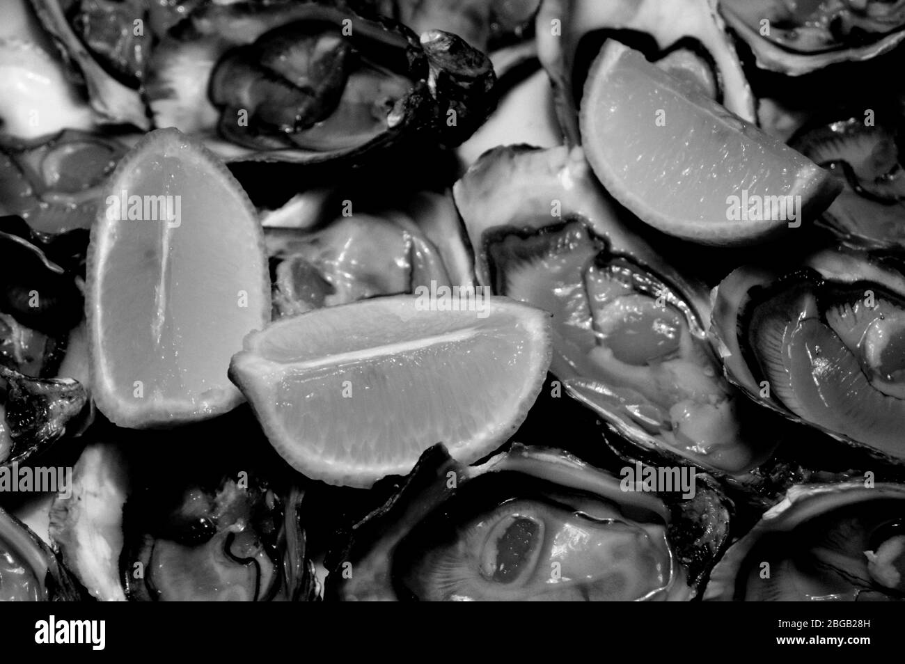 Austern mit Zitrone in einem weißen Teller öffnen Stockfoto