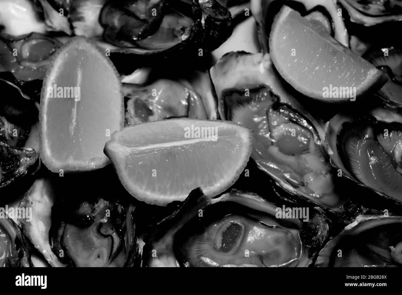 Austern mit Zitrone in einem weißen Teller öffnen Stockfoto