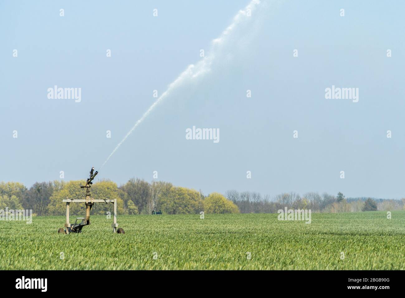 Rollbett automatische Sprinkler Bewässerung Pistole Bewässerung Farmer's Feld im Frühjahr Saison. Bewässerungssystem in der Landwirtschaft Stockfoto