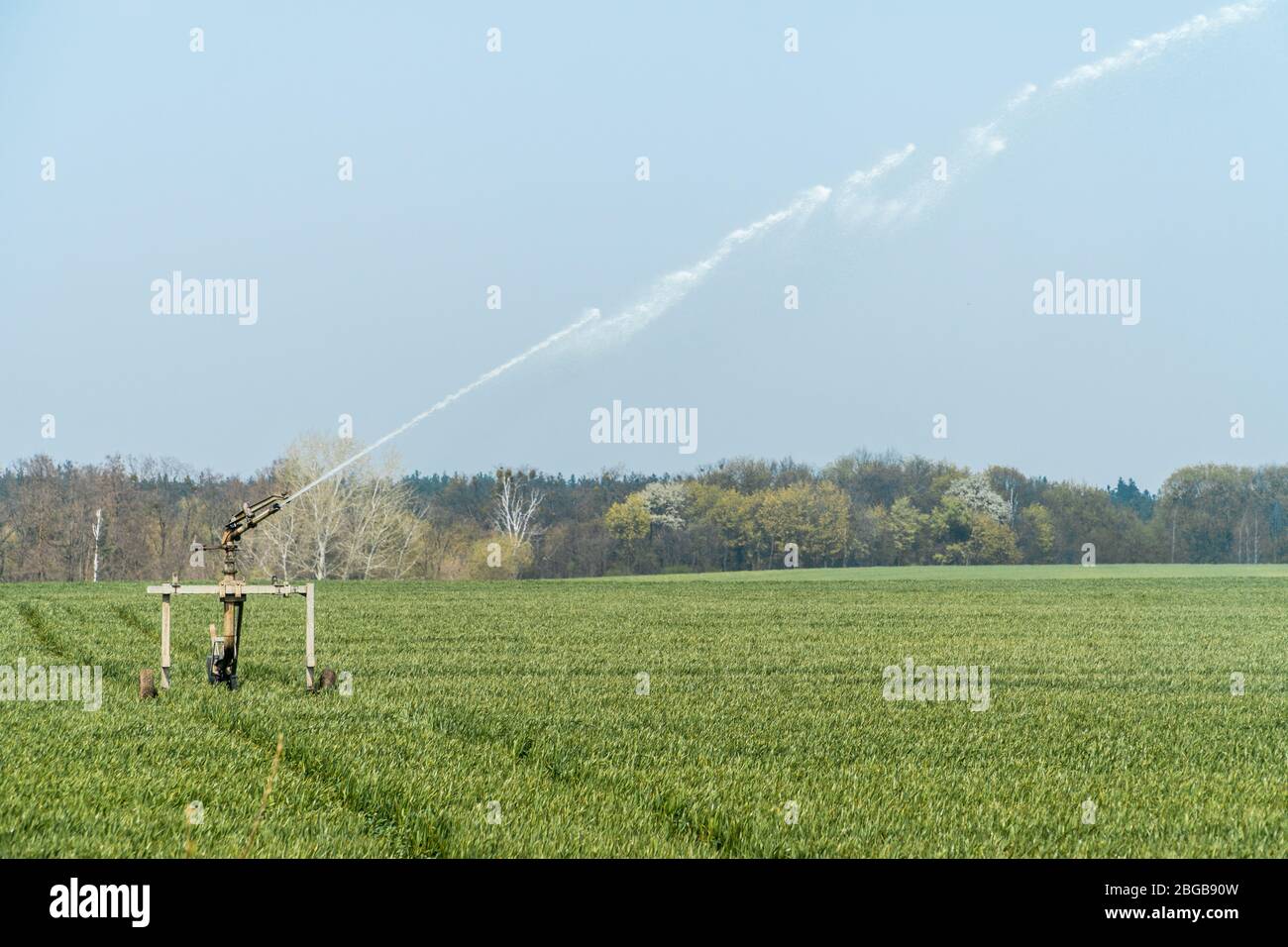 Rollbett automatische Sprinkler Bewässerung Pistole Bewässerung Farmer's Feld im Frühjahr Saison. Bewässerungssystem in der Landwirtschaft Stockfoto