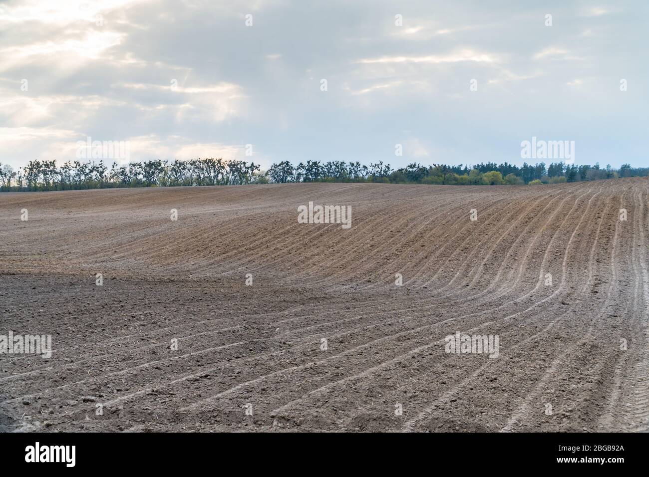 Kultiviertes trockenes schwarzes Bodenfeld im Frühjahr. Konzept der Agrarindustrie Stockfoto