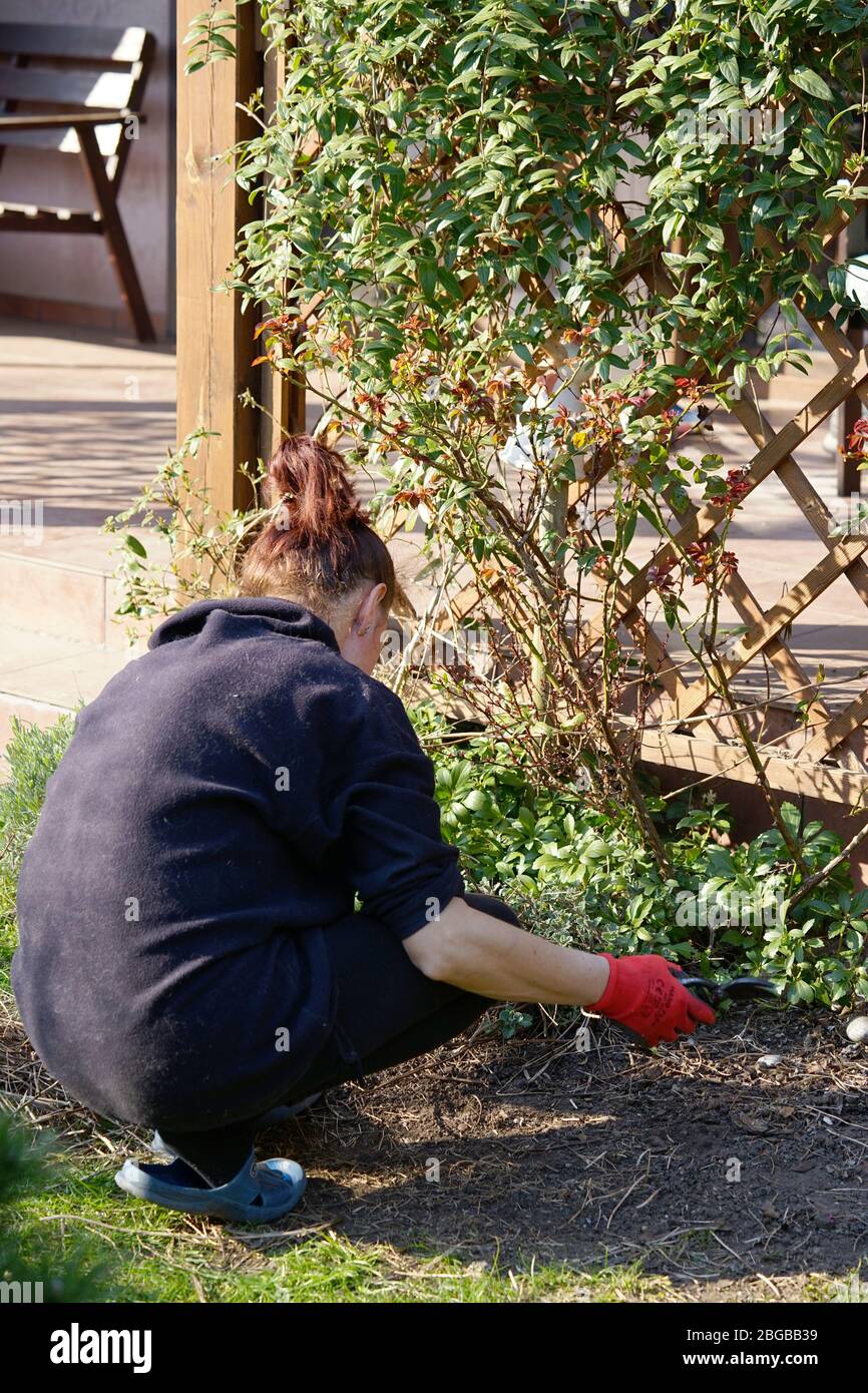 Spring Gardening - Anordnung Blumenbeete Stockfoto