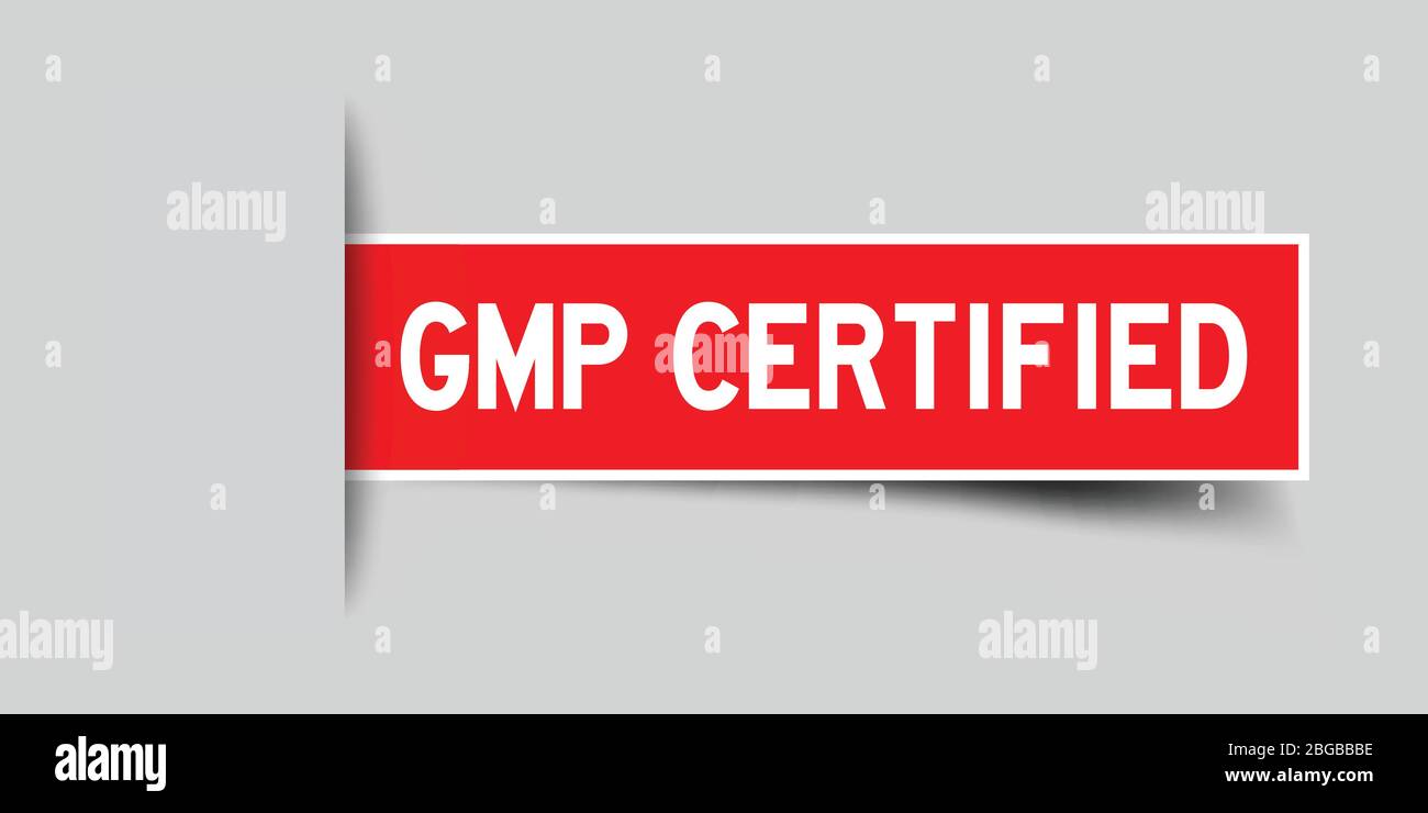 Etikett quadratischen roten Aufkleber in Wort GMP (Good Manufacturing Practice) zertifiziert, dass unter grauem Hintergrund (Vektor) einfügen Stock Vektor