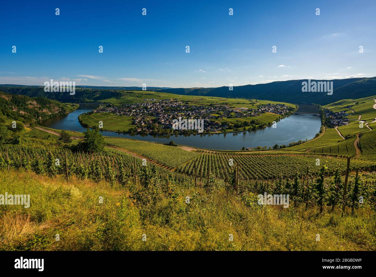 Moselschleife im Frühjahr, Deutschland Stockfoto