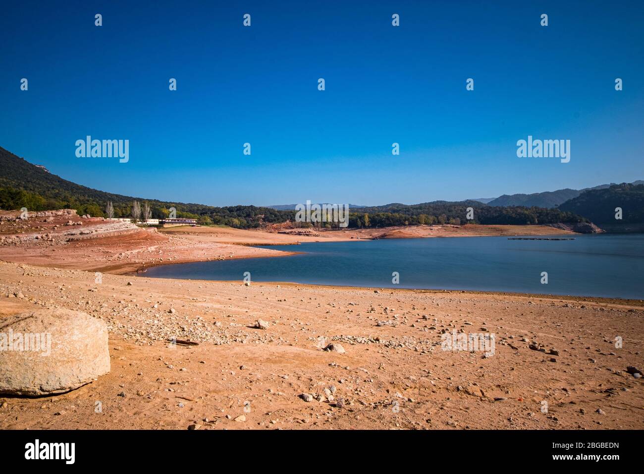 Sumpf in Sau Stausee, Katalonien, Spanien Stockfoto