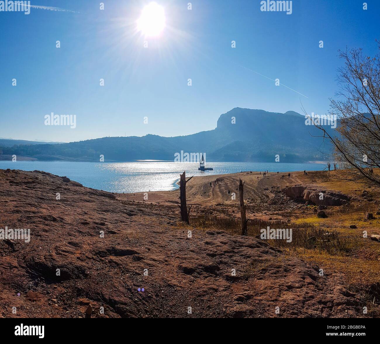 Sumpf in Sau Stausee, Katalonien, Spanien Stockfoto