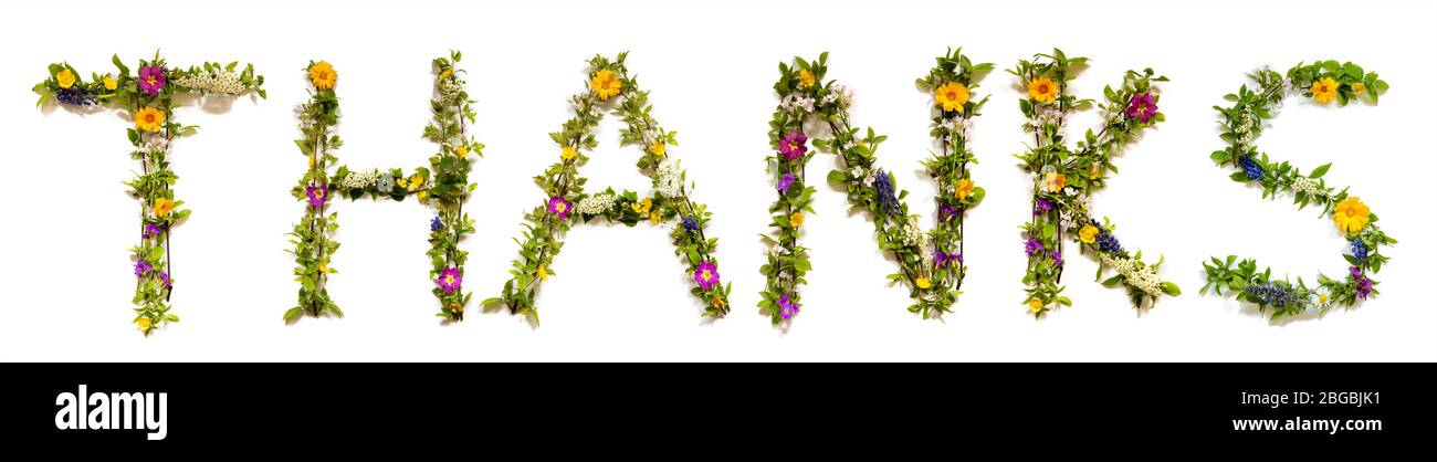 Blumen- Und Blütenbrief Wort Bauen Danke Stockfoto