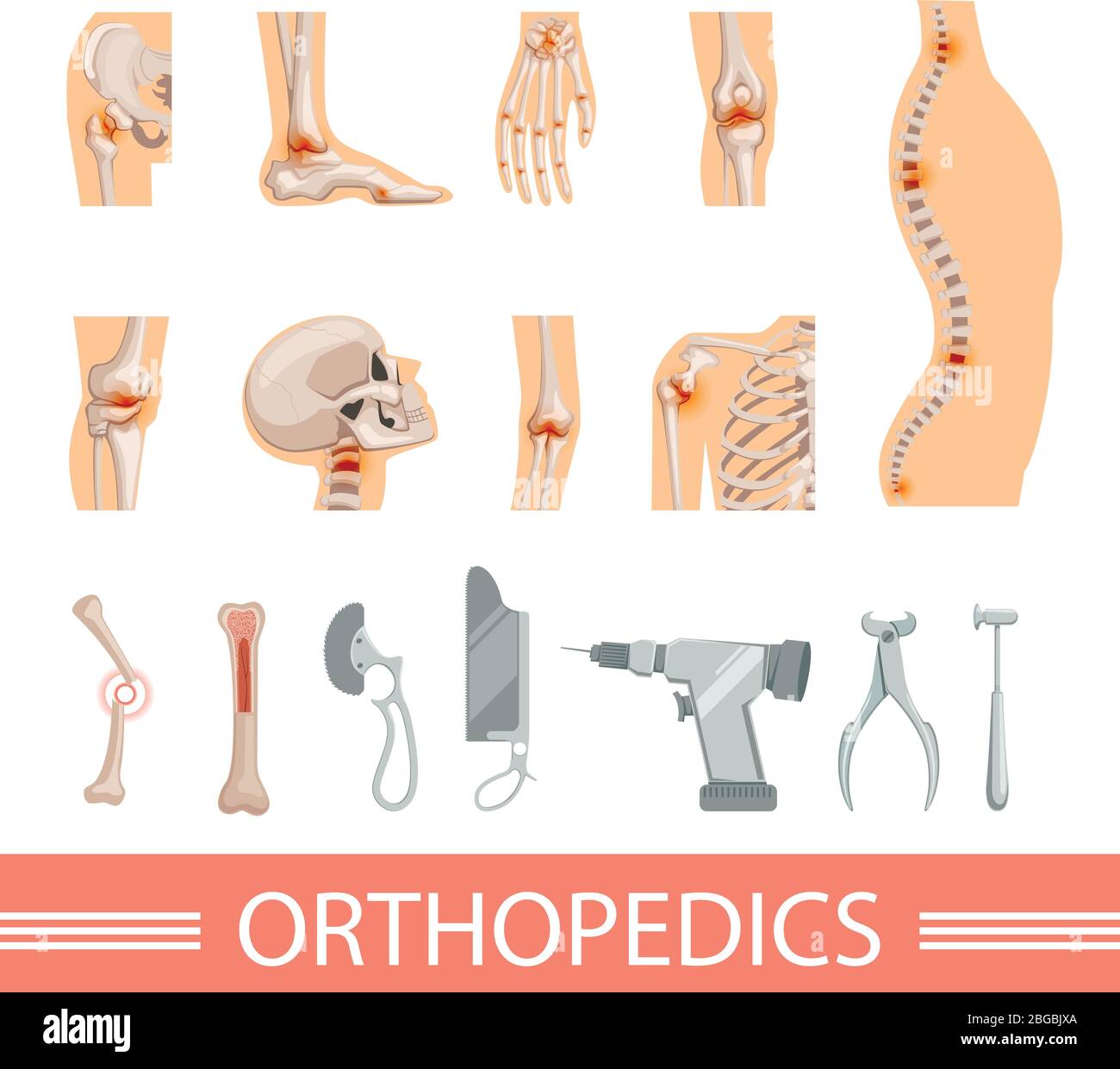 Orthopädische Symbole gesetzt. Menschliches Skelett, Knochen und verschiedene medizinische Accessoires Stock Vektor