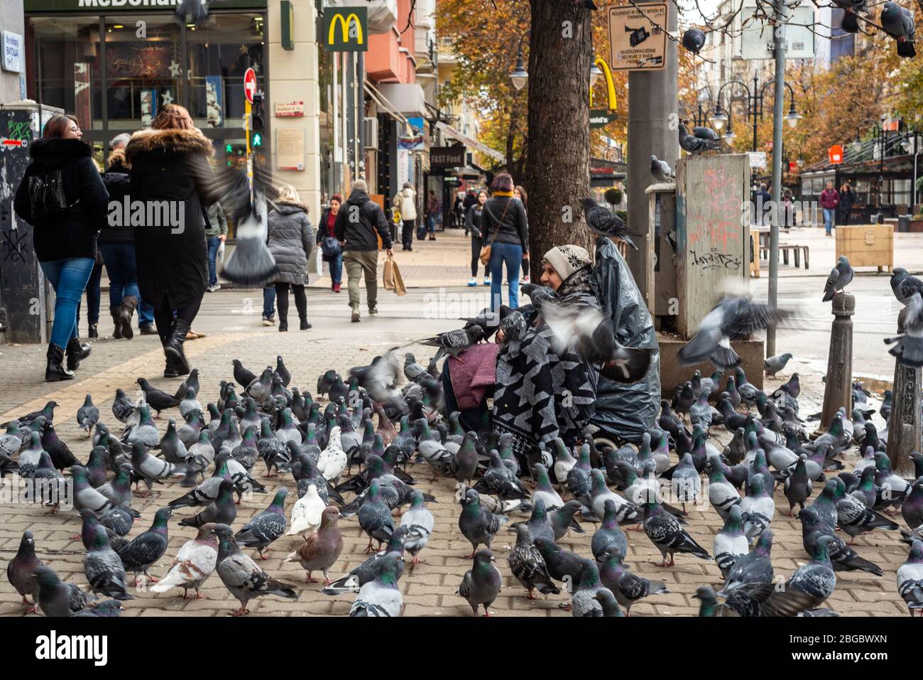 Ältere Bettler, die um Geld betteln, und Taubenherde in den Straßen von Sofia, Bulgarien, Osteuropa, Balkan, EU Stockfoto