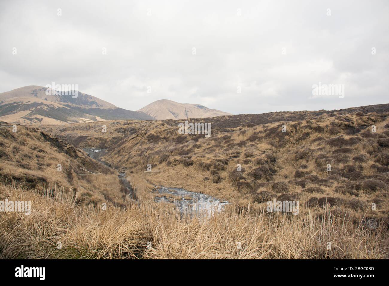 Mount Aso und Kusasenri im Winter. Bedeckt von goldgelbem Grasland - Kumamoto, Japan Stockfoto