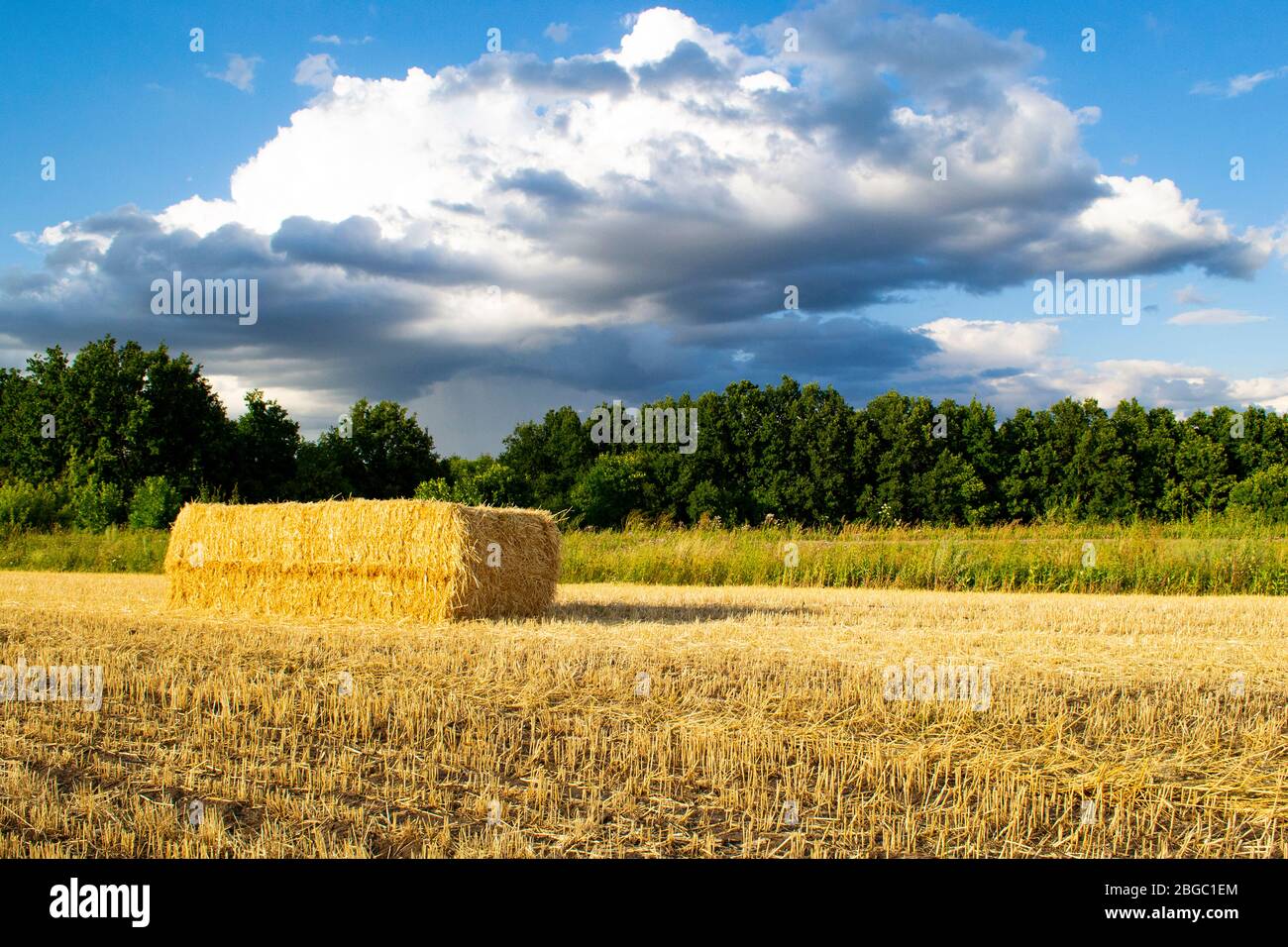 Ein Haystack Feld landwirtschaftliche Ernte und Weizenfelder Stockfoto