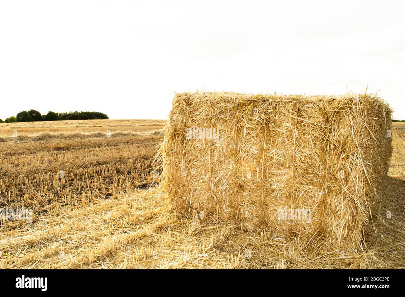 Ein Haystack Feld landwirtschaftliche Ernte und Weizenfelder Stockfoto