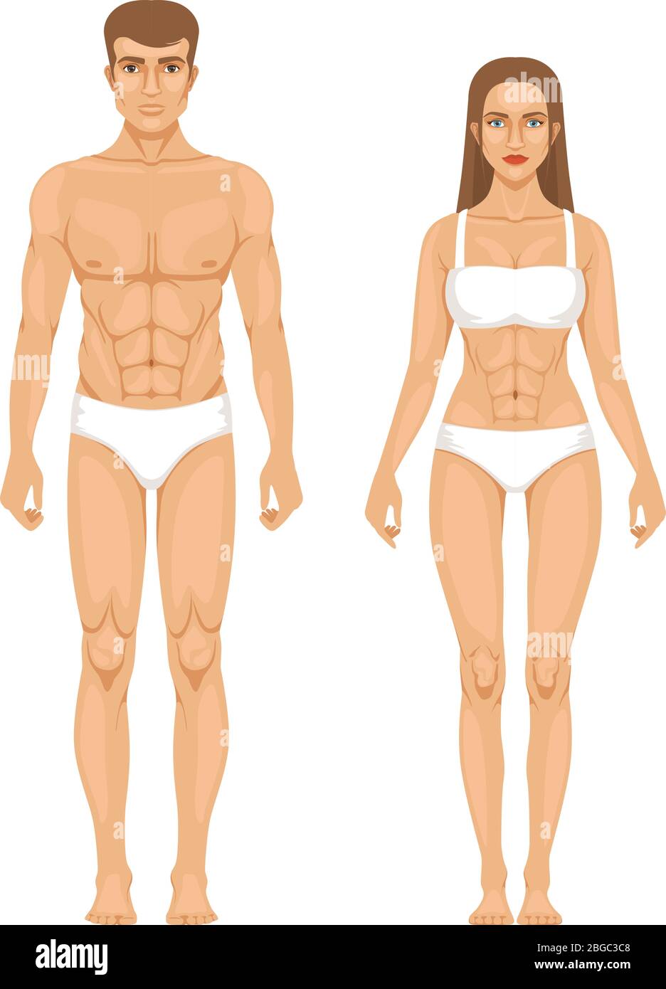Modell der sportlichen Mann und Frau im Stehen von vorne. Verschiedene Körperteile. Vektorgrafik Stock Vektor