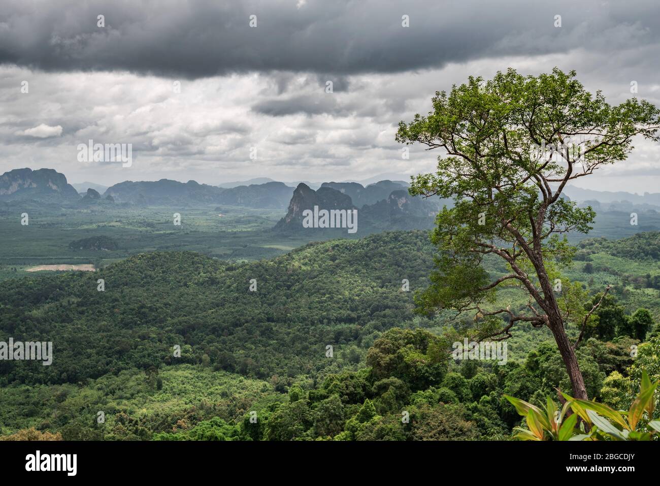 wolkiger Himmel und Blick auf den tropischen Dschungel Wald aus Sicht auf eine natürliche Landschaft mit den Bergen Stockfoto