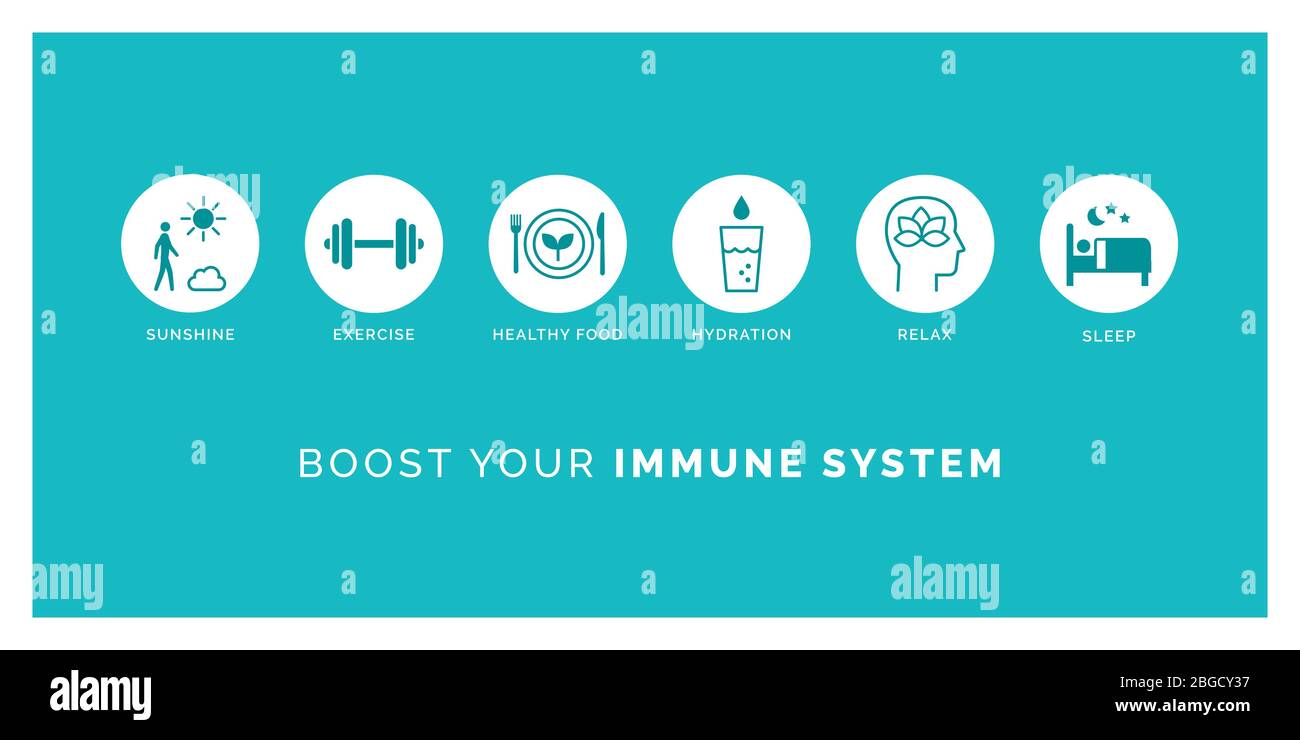 Wie Sie Ihr Immunsystem natürlich zu stärken: Setzen Sie sich Sonnenlicht, Bewegung, gesund essen, Wasser trinken, entspannen und schlafen, Symbole gesetzt Stock Vektor