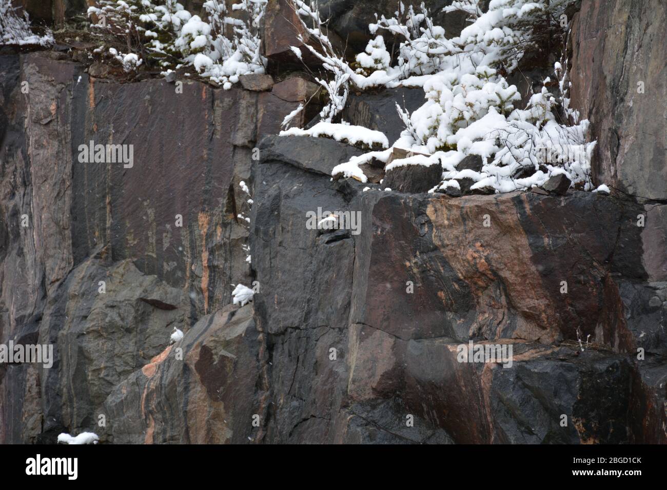 Frischer weißer Schnee auf dunklem Granitfelsen Stockfoto