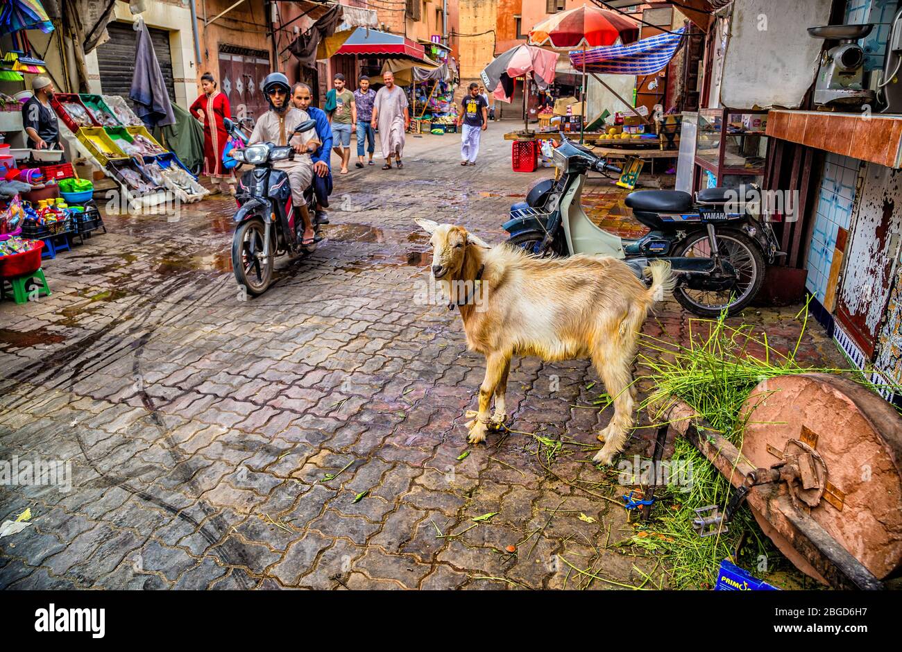 Verkäufer, Ziege, Roller auf der typischen Medina von Marrakesch.Marokko Stockfoto