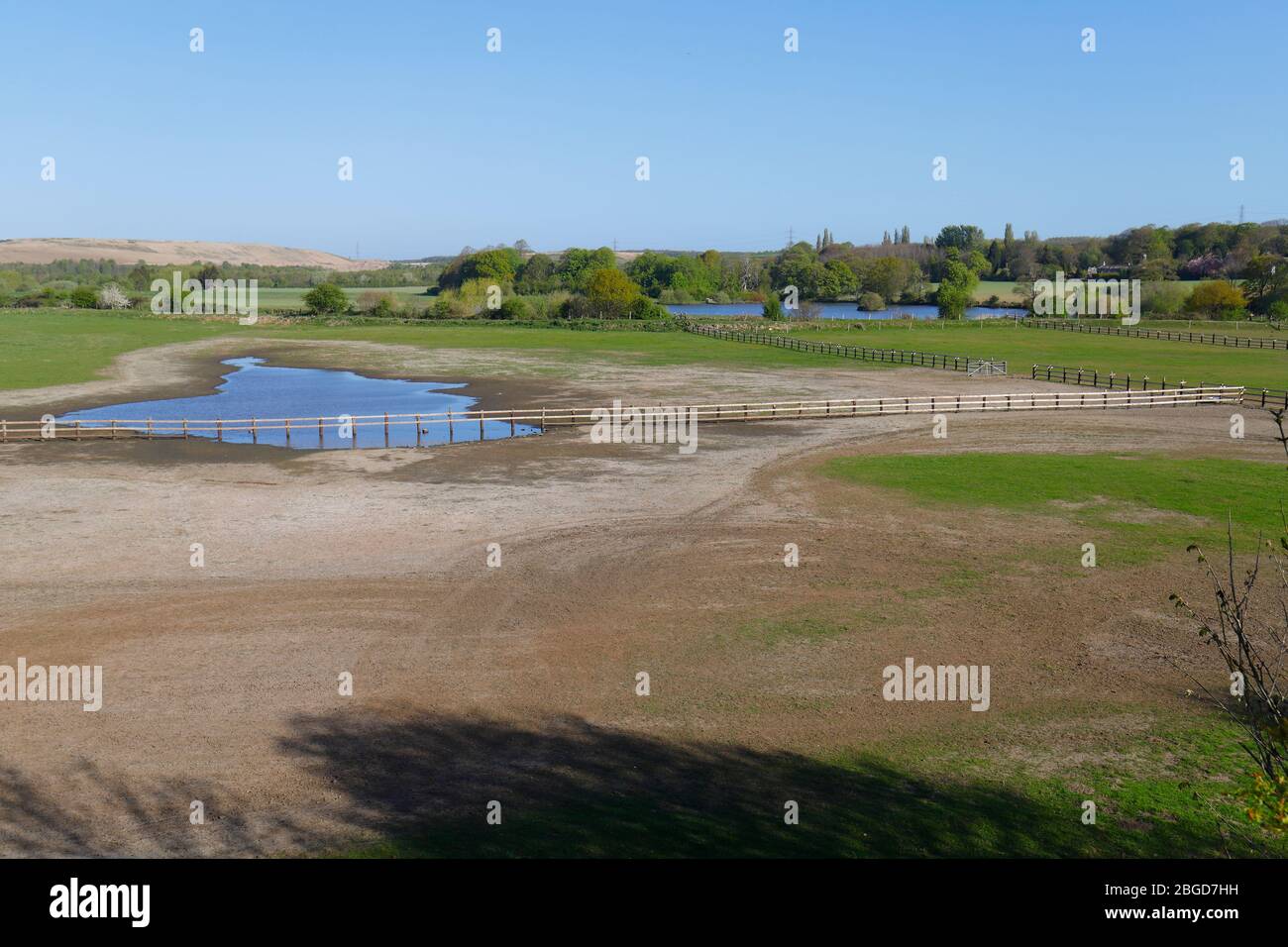 Ein Pferdeheld, das die meiste Zeit unter Wasser ist, ist aufgrund der langen Hitze ausgetrocknet. Stockfoto