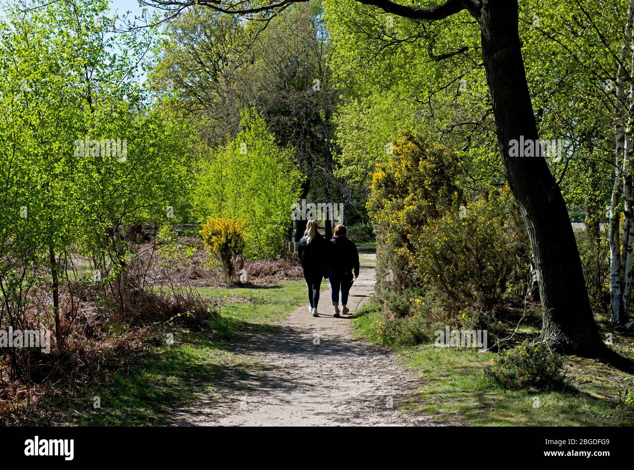Zwei Frauen auf dem Skipwith Common, North Yorkshire, England Stockfoto