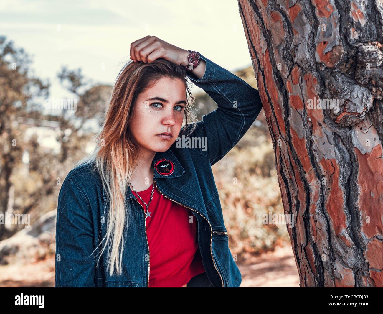 Hübsche junge Frau, die im Frühjahr in einem blauen Pullover in einem Baum mit blauen Augen und blonden Haaren die Kamera anschaut, gerade Stockfoto