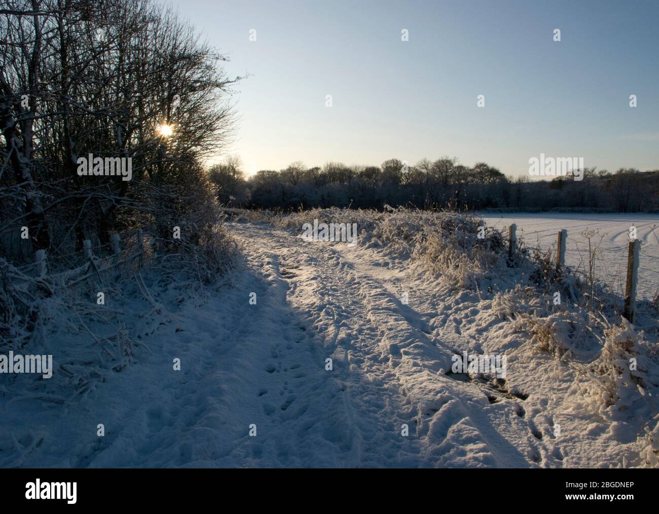 Spuren im Schnee entlang geschwungenen Pfad mit niedriger Sonne durch Bäume werfen und Hervorhebung der Weg und Vegetation mit einem klaren blauen Himmel gesehen Stockfoto