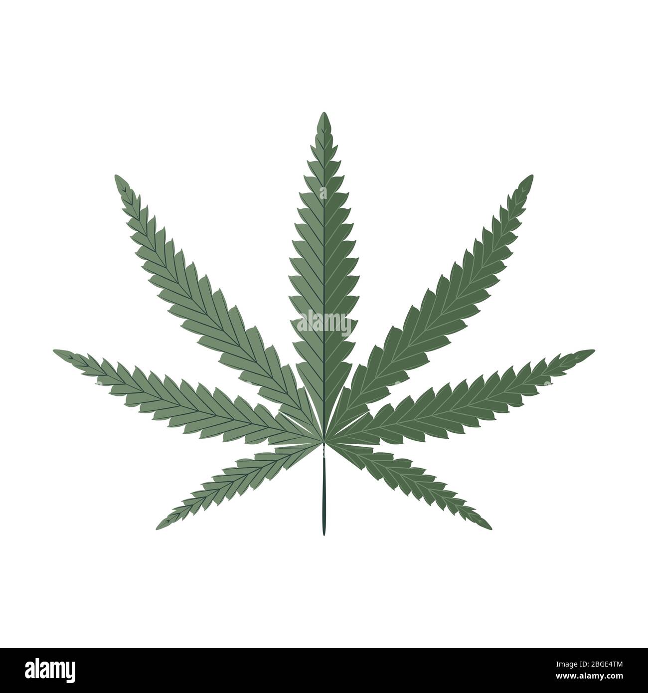Cannabisblatt auf weiß isoliert. Hanf Vektor Illustration. Stock Vektor