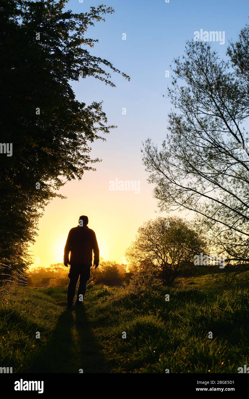 Mann, der bei Sonnenaufgang auf einem Wanderweg neben dem oxford Kanal entlang läuft. Oxfordshire, England. Silhouette Stockfoto