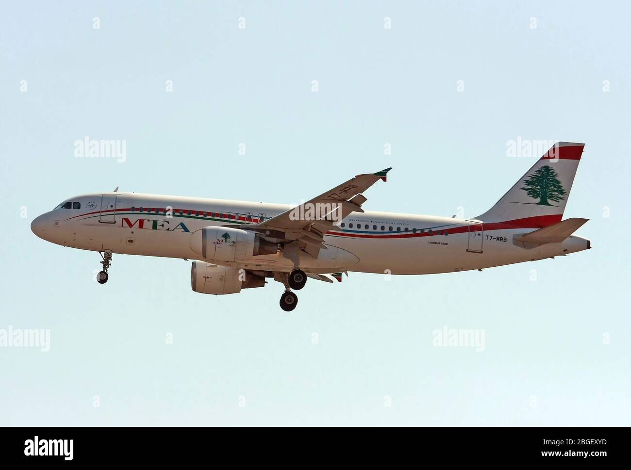 T7-MRB MEA - Middle East Airlines Airbus A320-214 in Malpensa (MXP / LIMC), Mailand, Italien Stockfoto