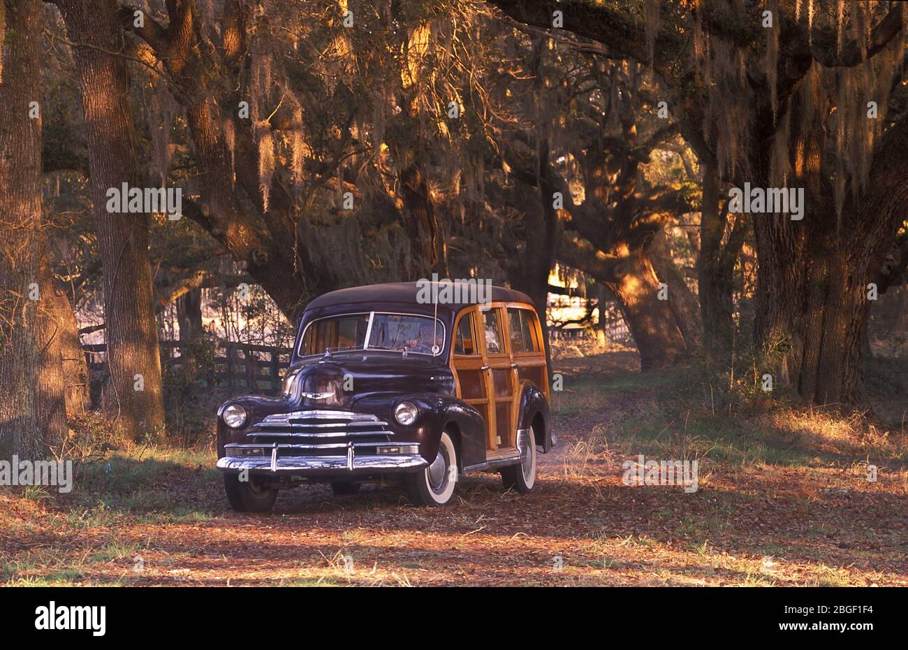 1940er Chevrolet Woody Station Wagon. Stockfoto