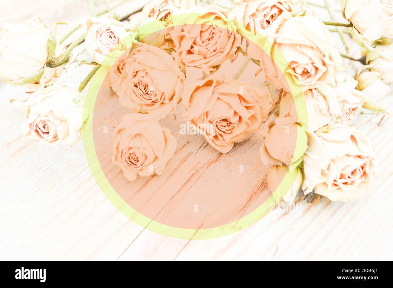 Abstrakter Feiertagsrahmen mit getrockneten Rosen auf alten Holzplatten. Stockfoto