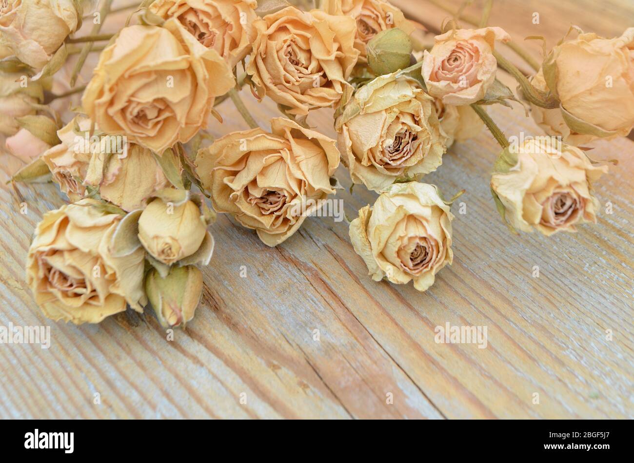 Abstrakter Feiertagsrahmen mit getrockneten Rosen auf alten Holzplatten. Stockfoto
