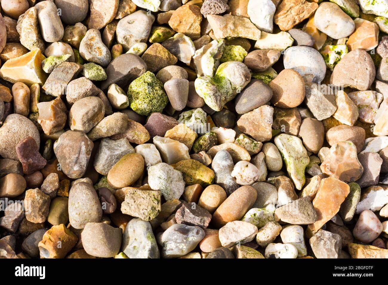 Kiesel Kies Nahaufnahme Stockfoto