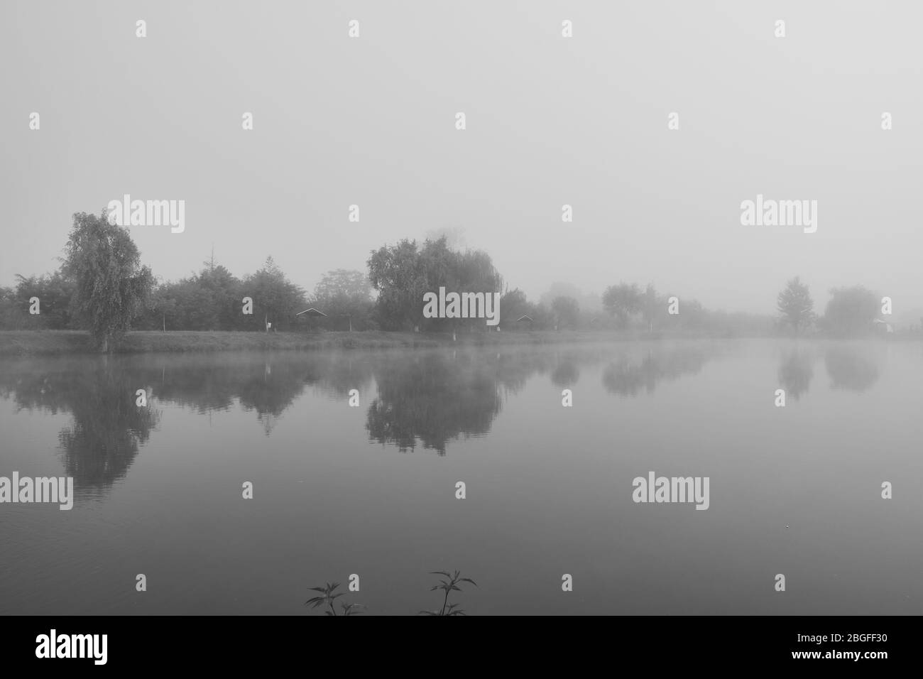 Landschaft mit See, Bäumen und blauem Himmel mit Wolken bedeckt im Nebel Stockfoto
