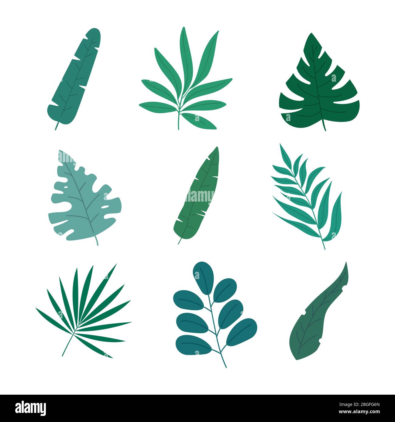 Set von 9 verschiedenen Blättern in modernen farbigen flachen Stil, isoliert auf weißem Hintergrund. Stock Vektor