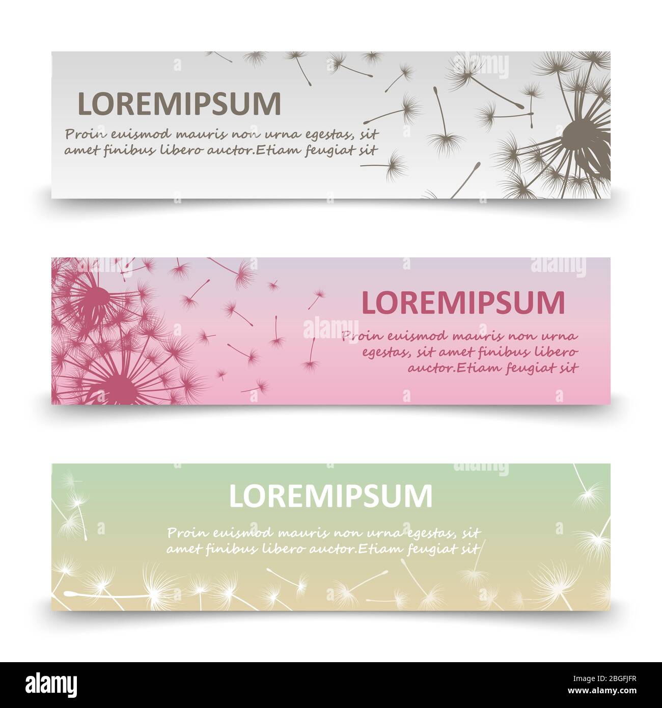 Horizontale Banner mit Löwenzahn-Silhouetten und fliegenden Samen. Blumenblüte Natur, Sommerblüte und Blassamen. Vektorgrafik Stock Vektor