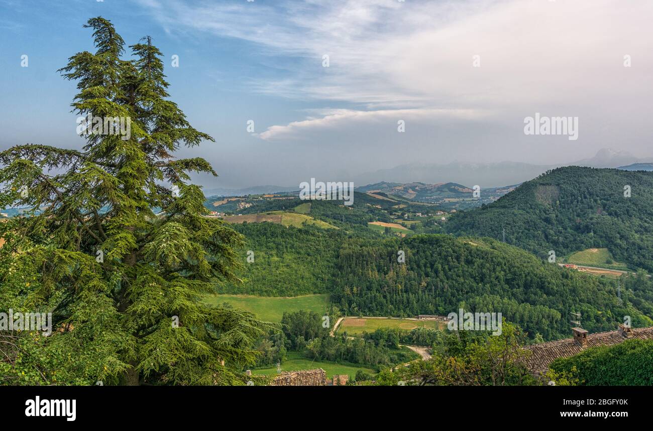 Ländliche Landschaft entlang der Straße von Sant'Egidio alla Vibrata nach Civitella del Tronto im Sommer - Abruzzen Region in Italien - Europa Stockfoto