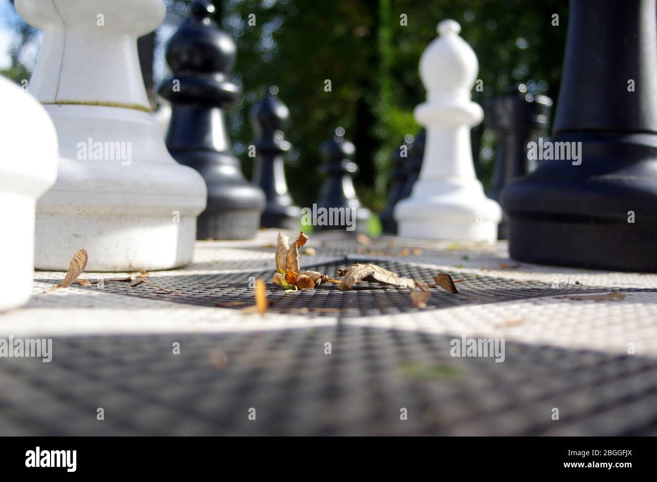 Schach Abbildung, Business Konzept Strategie, Führung, Team und Erfolg Stockfoto