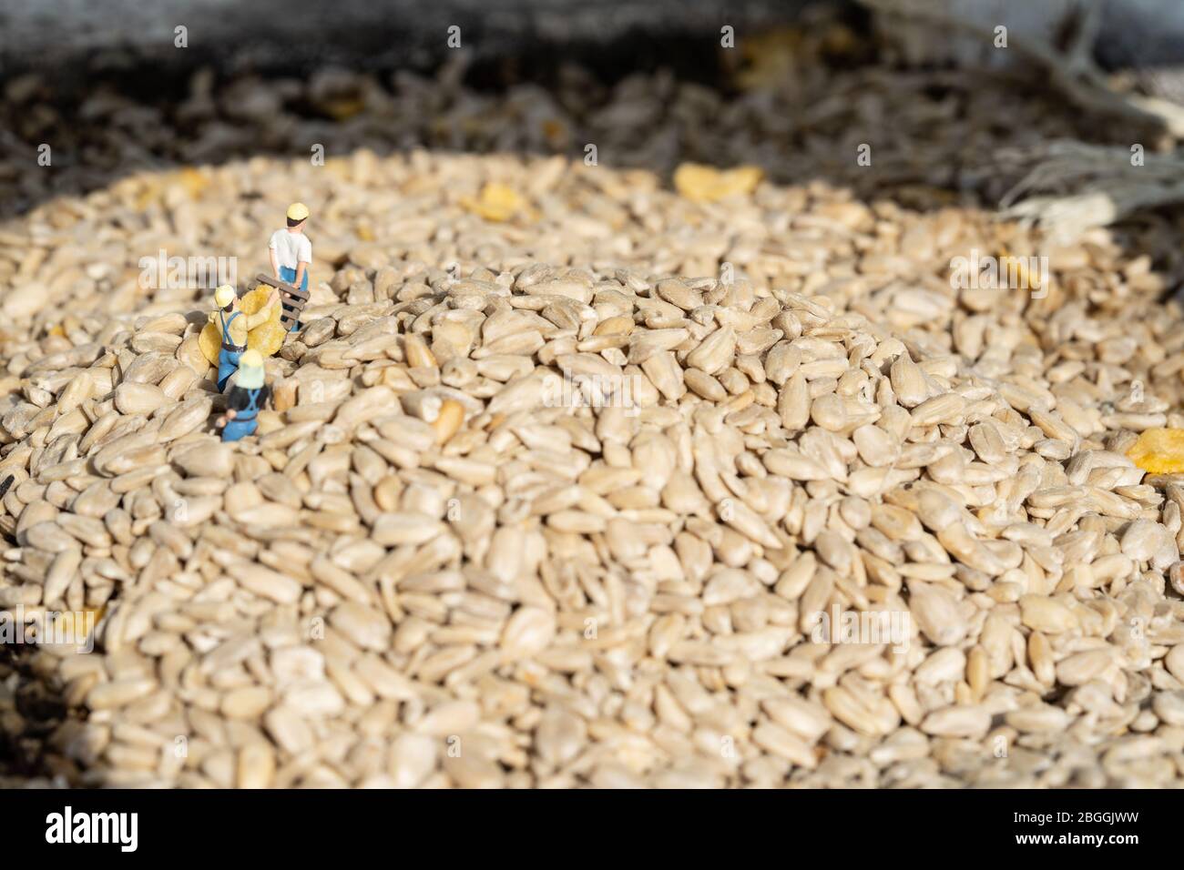 Kleine Leute, die an riesigen Haufen Vogelsaaten arbeiten Ein Vogelfutterhäuschen Stockfoto