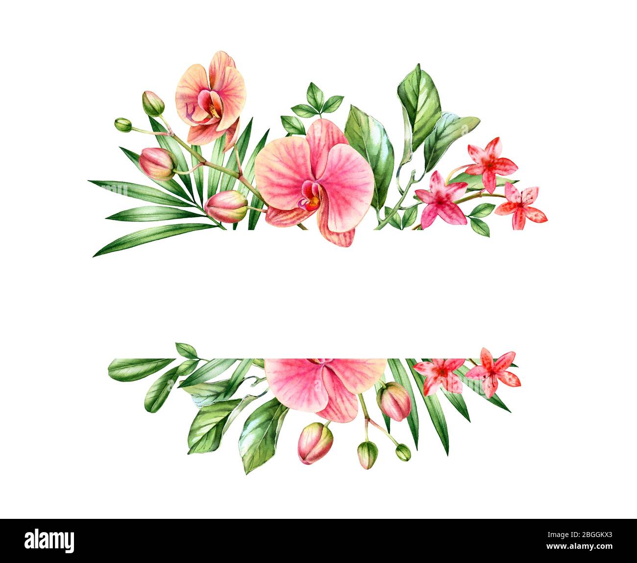 Wasserfarbenes Blumenbanner. Rosa Orchideen und Palmblätter Anordnung. Horizontaler Rahmen mit Platz für Text. Handgemalter tropischer Hintergrund für Karten Stockfoto