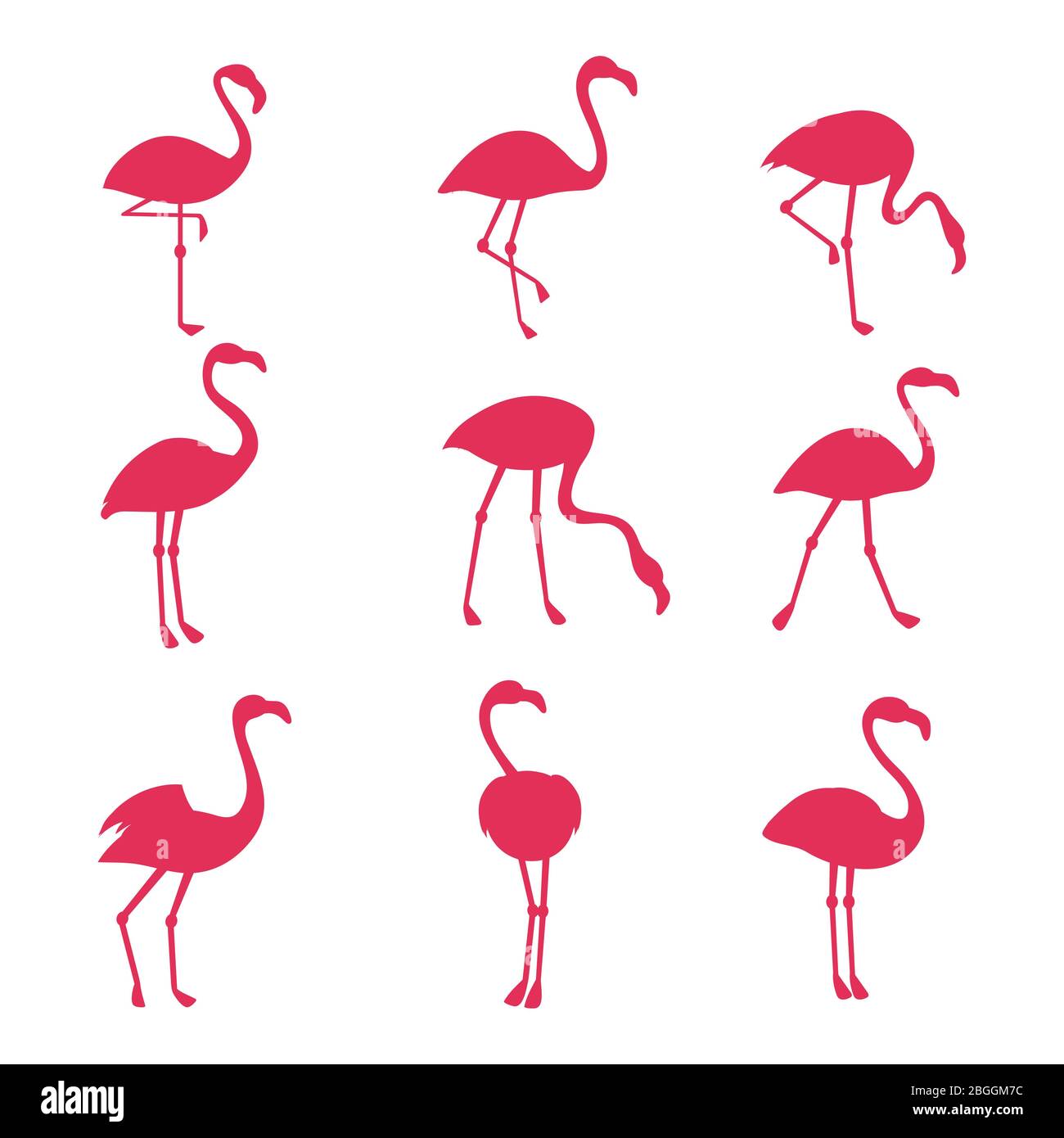 Rosa Flamingo Silhouetten isoliert auf weißem Hintergrund. Vektor Vogel tropische, Tier exotische Tierwelt Sammlung Illustration Stock Vektor