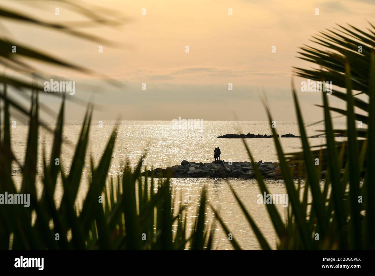 Seascape bei Sonnenuntergang mit der Silhouette eines Paares, das auf einem felsigen Wellenbrecher steht und Blätter von Palmen im Vordergrund, Sanremo, Ligurien, Italien Stockfoto