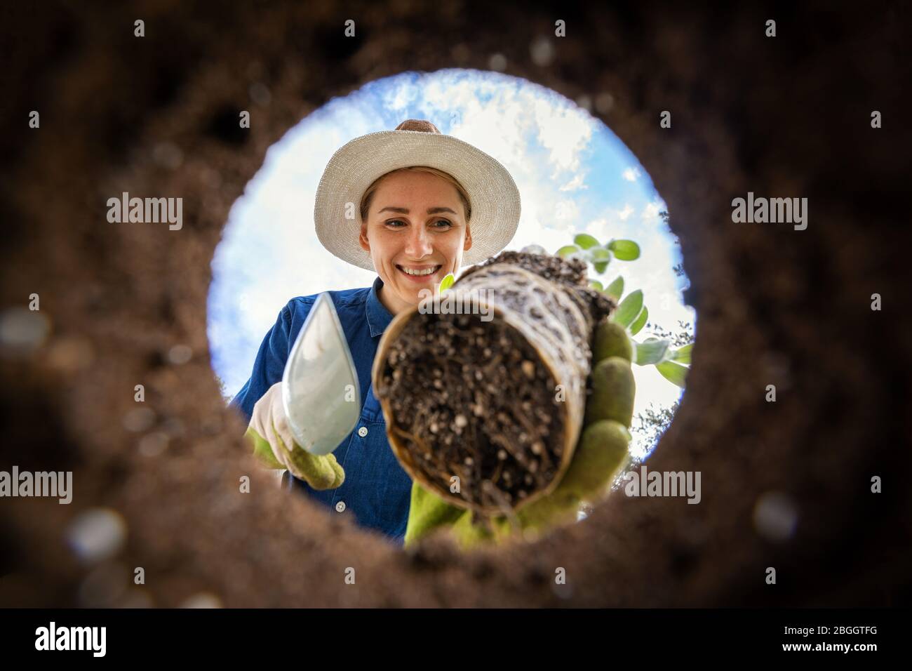 Frau, die eine Blume im Garten anpflanzt, Erdloch. Blick aus der Erde Stockfoto