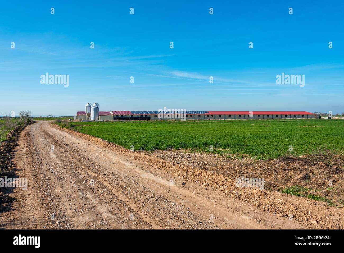 19. Februar 2020 - Belianes-Preixana, Spanien. Ein Industriebauernhof mit Solarmodulen auf dem Dach in den Ebenen von Belianes-Preixana. Stockfoto