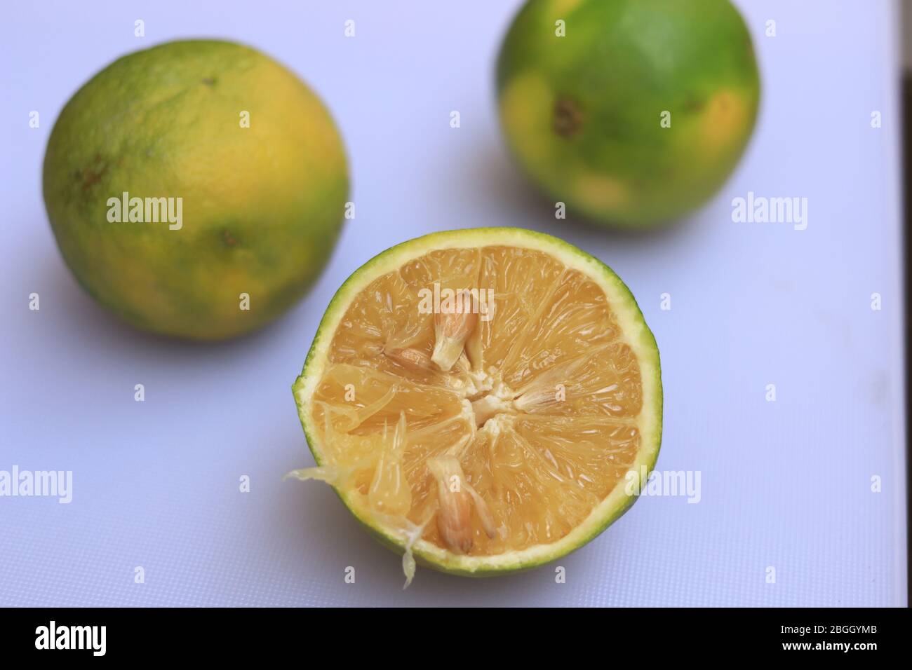 Gelbe und grüne Farbe ganze Reife Süße Limettenfrüchte oder Citrus limetta Stockfoto