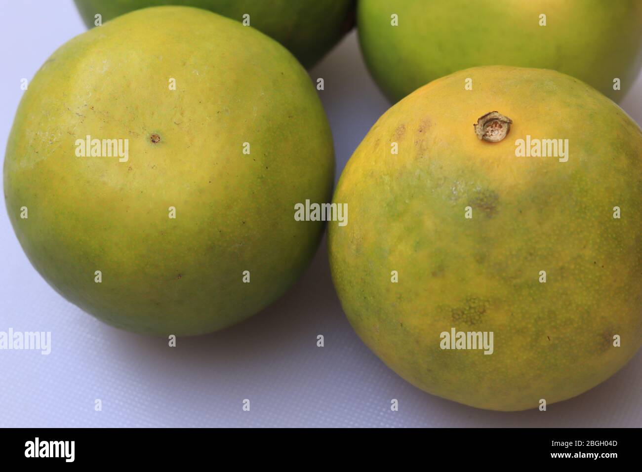 Gelbe und grüne Farbe ganze Reife Süße Limettenfrüchte oder Citrus limetta Stockfoto