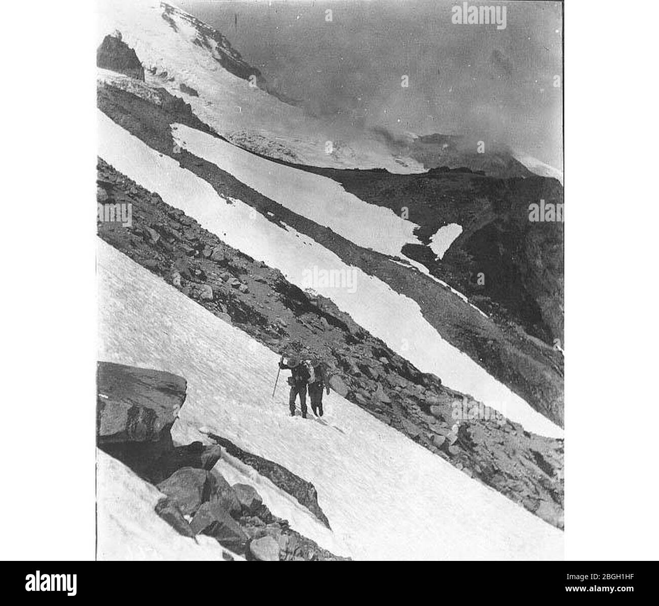 Wanderer auf schneebedecktem Hang, Mount Rainier, 23. Juli 1910 (SARVANT 48). Stockfoto