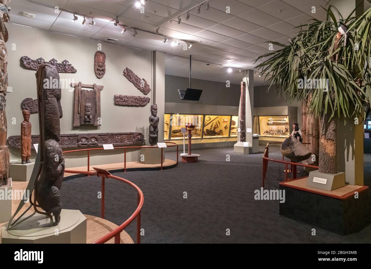 Maori-Schnitzereien, Canterbury Museum, Christchurch, Neuseeland Stockfoto
