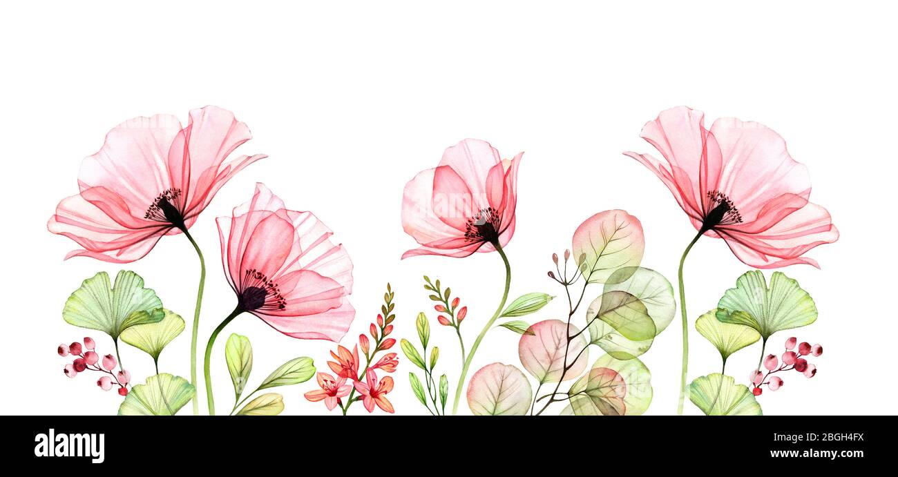 Aquarell Poppy unterer Rand. Horizontaler floraler Hintergrund. Abstrakte rosa Blüten mit Blättern auf weiß. Botanische Illustration für Karten, Hochzeit Stockfoto