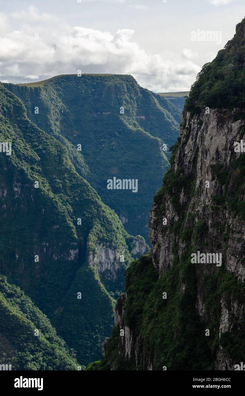 Eine senkrechte Klippe bei den Fortaleza Canyons in Brasilien Stockfoto